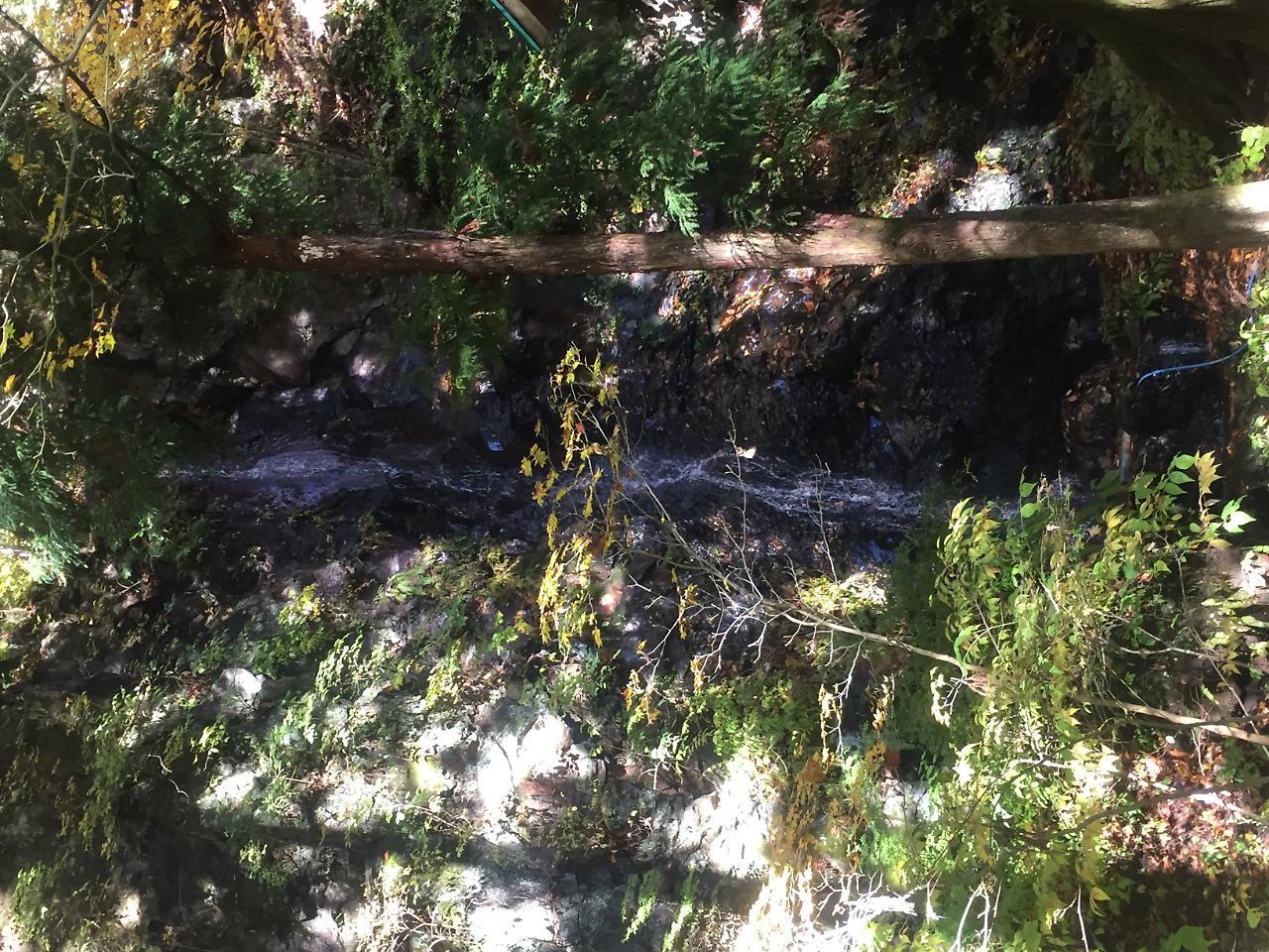 Tokiwa Ryokan نيكو المظهر الخارجي الصورة